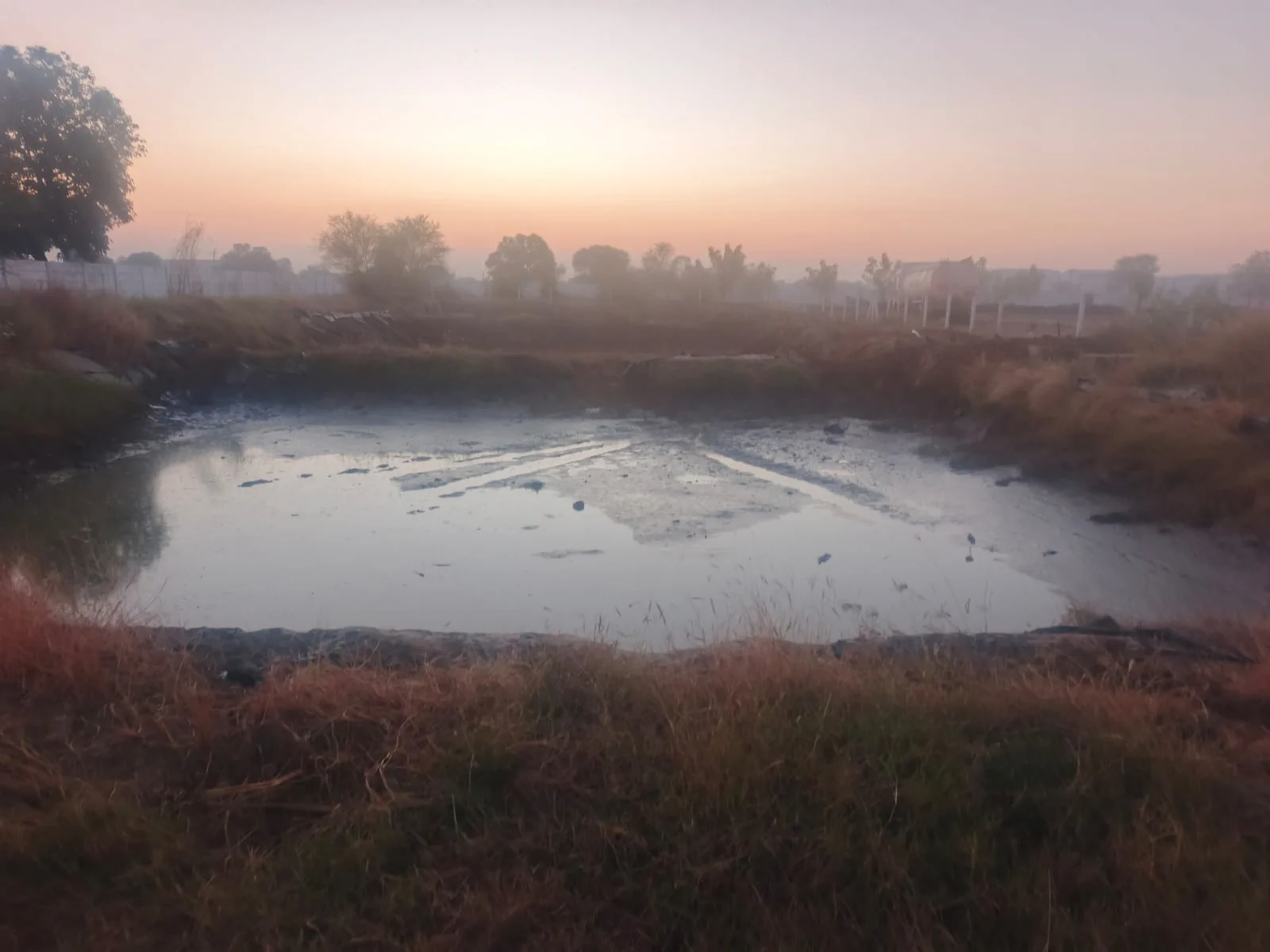 TSDF and co-processing for oily sludge